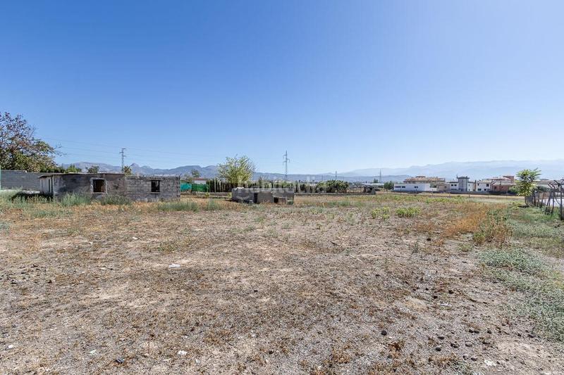 Foto fed84840-204c-499e-af9e-835ca43967eb. Rural plot in Atarfe