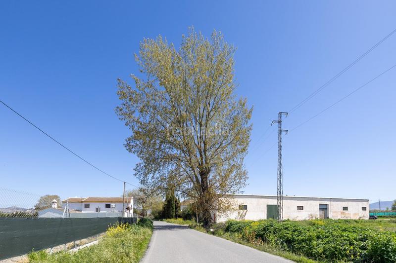 Foto a935ae14-4df5-44f7-80c0-25bd59b311f4. Country house in camino camino de purchil 9 in Camino de Ronda Granada
