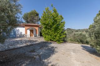 Propriété  Lugar lugar del cortijo aguadero. Finca de olivos en montefrío