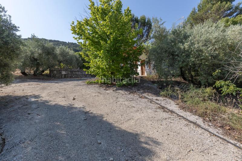 Foto abd002ac-358d-427f-a8d7-67f89b96e0f2. Finca rústica finca de olivos en Montefrío