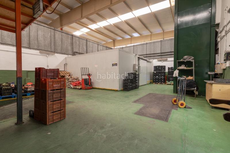 Foto c5c0bc13-cca6-49ec-9966-d1d09d11b7e6. Industrial building in Almuñecar centro Almuñécar