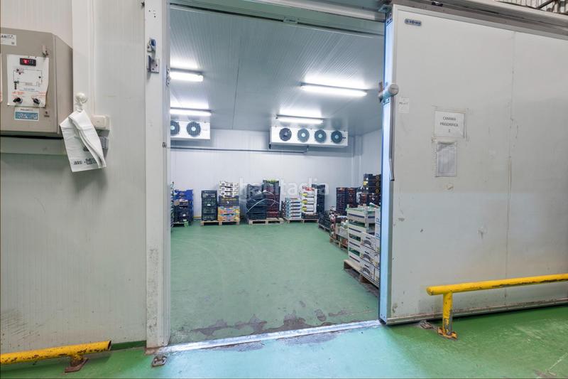 Foto 8041fe8c-1c0f-45c4-9e91-0dbad19f59e3. Nau industrial a Almuñecar centro Almuñécar