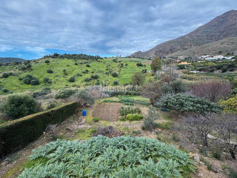 Foto 4ad30891-c54b-4b84-902c-95d2e4fda1ff. Masía en paraje pedregales-polvitos 161 finca rústica en venta en , en Estepona