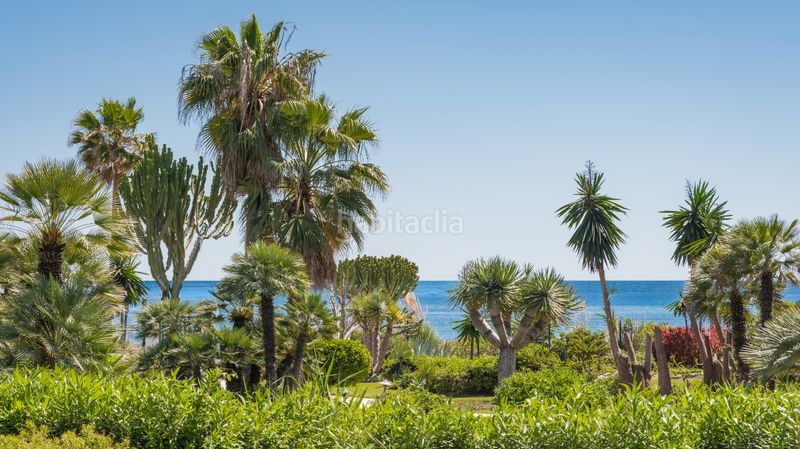 Foto 00cff24f-f444-4b61-9b1d-74c1cee8fc26. Planta baixa a calle trajano 22 a Villacana - Costalita - Saladillo Estepona