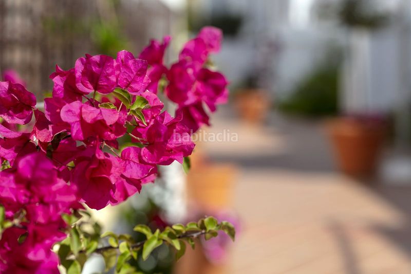 Foto bf90dfd6-a592-435e-ae38-ed9326643e4e. Apartament a calle las ventas 16 a Las Brisas Marbella