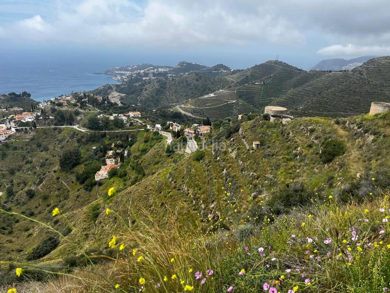 Foto 7ea42ded-08ab-47ef-8435-7fa20cb9cee1. Propriété dans Cotobro Almuñécar