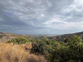 Finca rústica a Torrecuevas - Lomas del Gato. Finca en almuñécar con vistas espectaculares y cultivo en produc