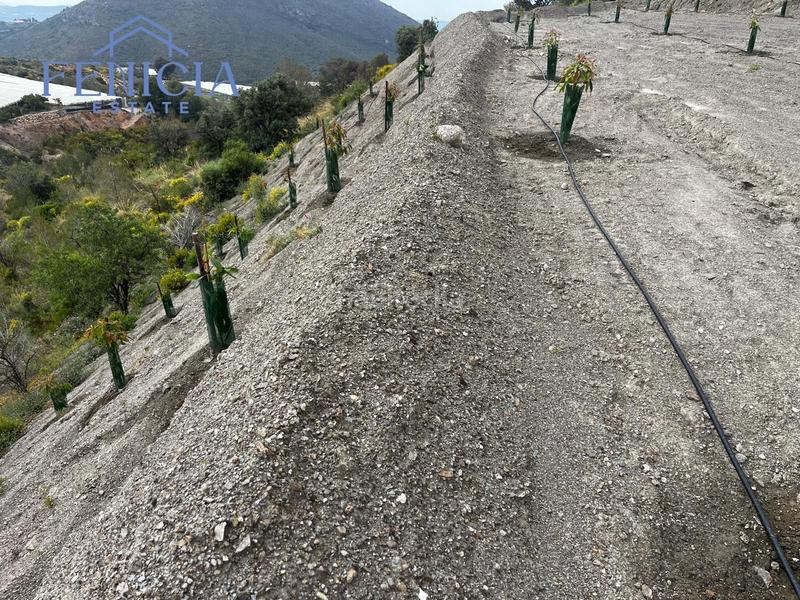 Foto 3b160ede-1ac1-4208-88b2-88c1baba7c0d. Fondo rustico in Molvízar