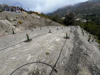 Rural plot in Molvízar. Se vende terreno en molvizar