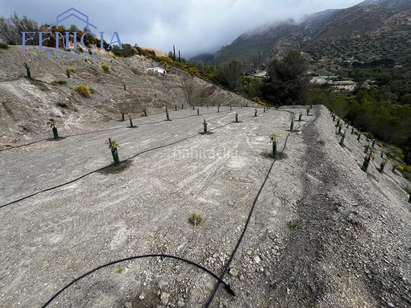 Foto 4310a2a0-7a27-48b8-82bc-dd4171ad6dcf. Fondo rustico in Molvízar