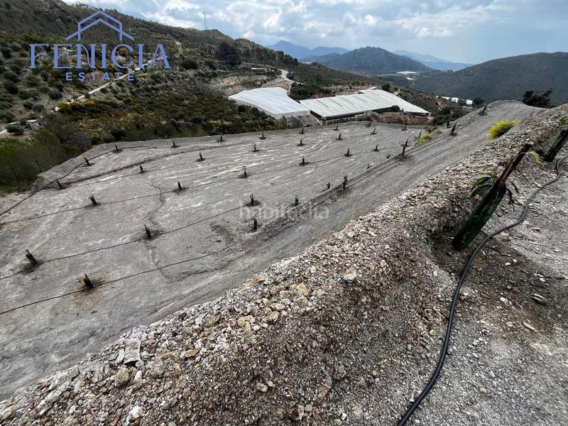 Foto d46b6543-6e5a-4391-ac3e-6c5a8a14882f. Fondo rustico in Molvízar