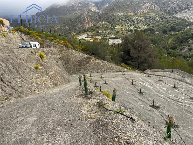 Foto f417b81e-1a15-461e-aba7-74b0f4add6d8. Fondo rustico in Molvízar