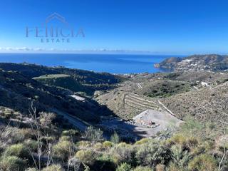 Rural plot in La Herradura. Parcela rústica en venta en la herradura  zona de guerra