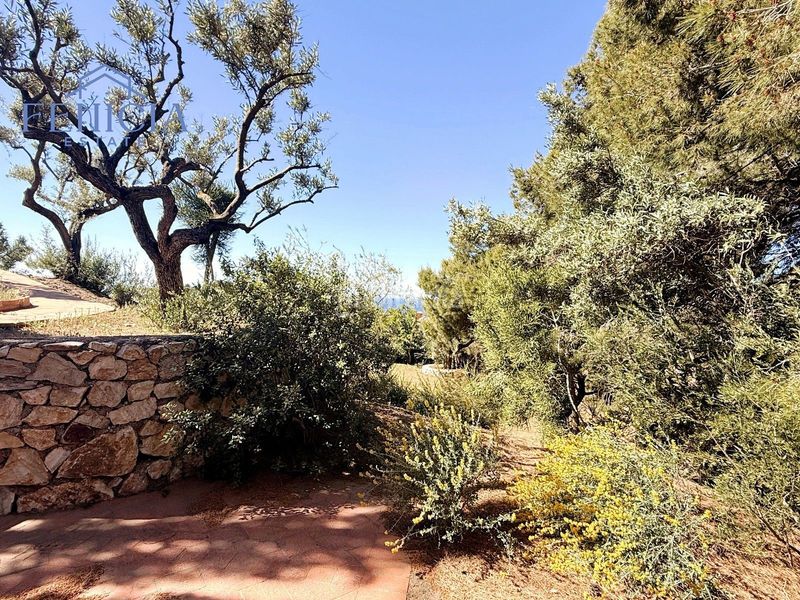 Foto 397ccb8e-6130-4696-a0bd-34d89fc64c94. Chalet en Punta La Mona Almuñécar