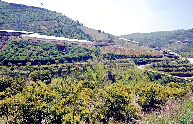 Foto 2585c423-1d13-4297-bd2d-724dd967db98. Finca rústica a Ítrabo