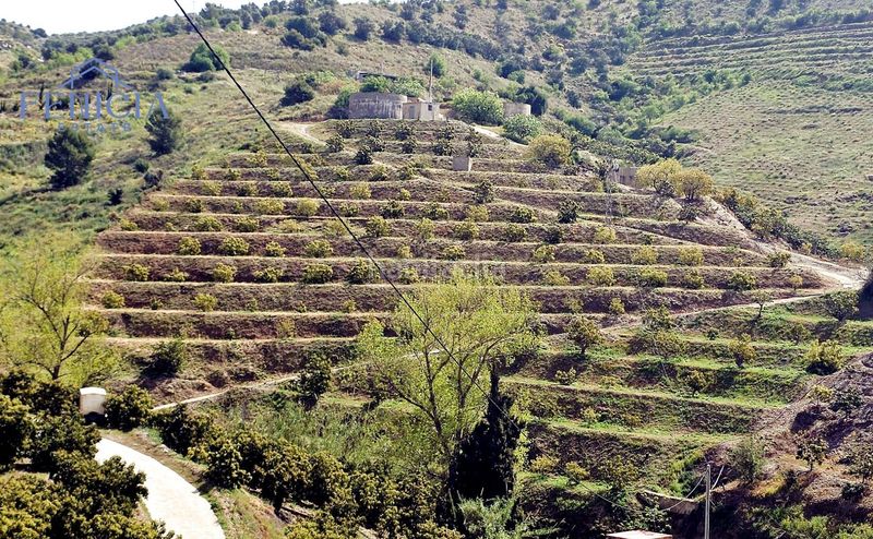 Foto 70a29788-bb60-4094-ac19-48cfd0b64ac4. Finca rústica a Ítrabo