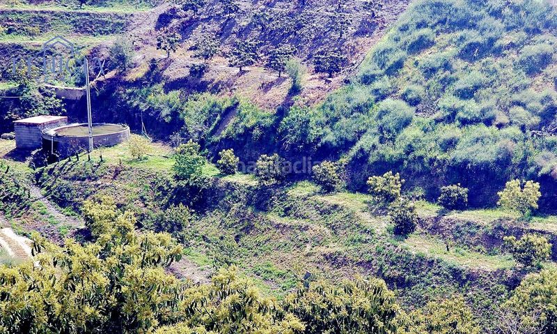 Foto dffa9128-6e09-4265-9b97-c194e3033f1a. Finca rústica a Ítrabo