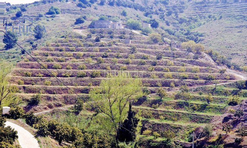 Foto f5ab2dff-bef8-4f06-8725-2145347346cb. Finca rústica a Ítrabo