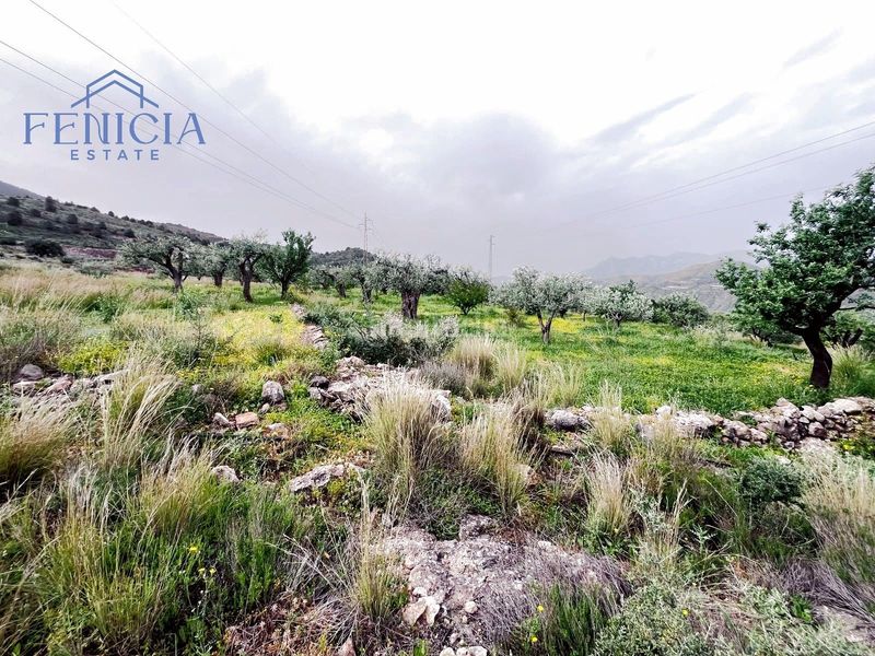 Foto 0bea8612-663c-4290-a9a3-c027cc0d2b6e. Finca rústica a Vélez de Benaudalla