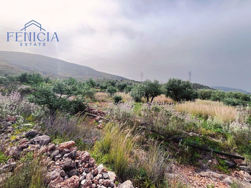 Foto cca76954-00de-40ab-9d77-b0086c52407b. Finca rústica a Vélez de Benaudalla