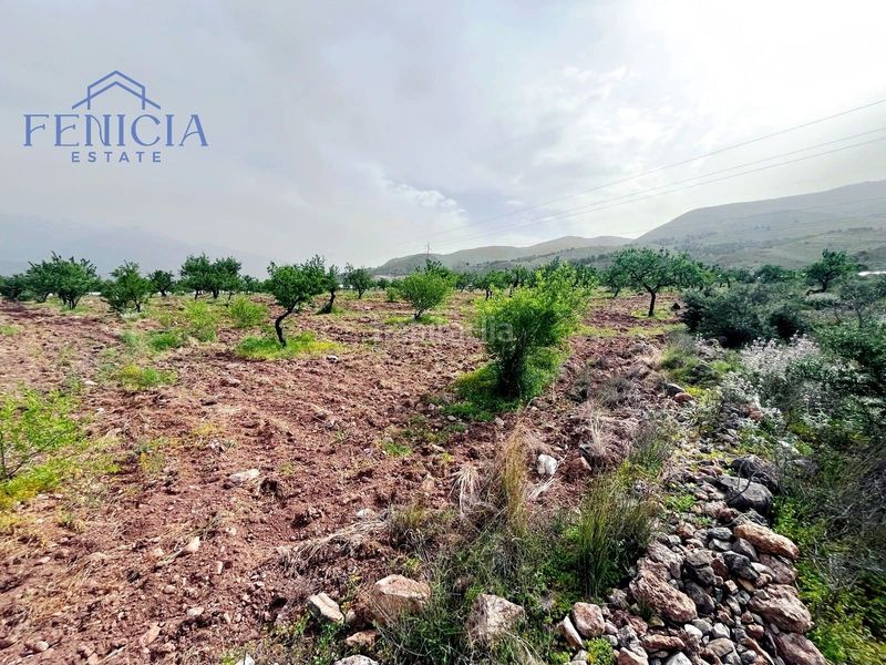 Foto d3a8d46b-5b5a-4c7a-935a-06822eff001a. Finca rústica a Vélez de Benaudalla