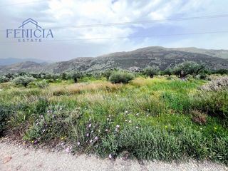 Finca rústica a Vélez de Benaudalla