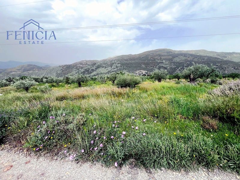 Foto db84d708-ce5a-4ee4-8212-b9960396528a. Finca rústica a Vélez de Benaudalla