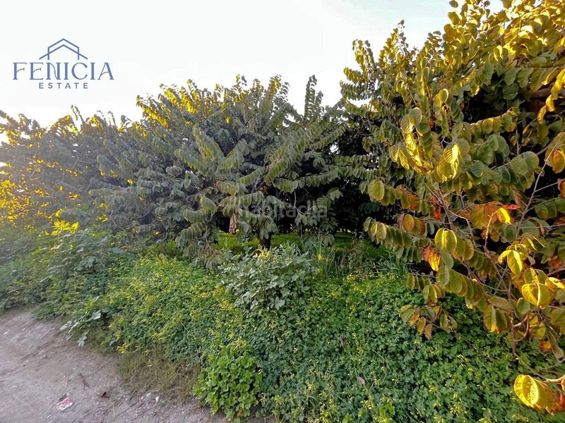 Foto df21808e-a4cc-426d-a612-da11e331a63d. Finca rústica a Almuñecar centro Almuñécar