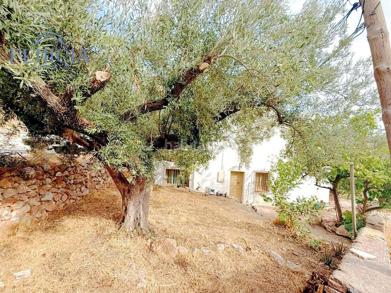 Foto b2c61775-fd78-4d00-b087-6ed309456d4b. Casa a Otívar