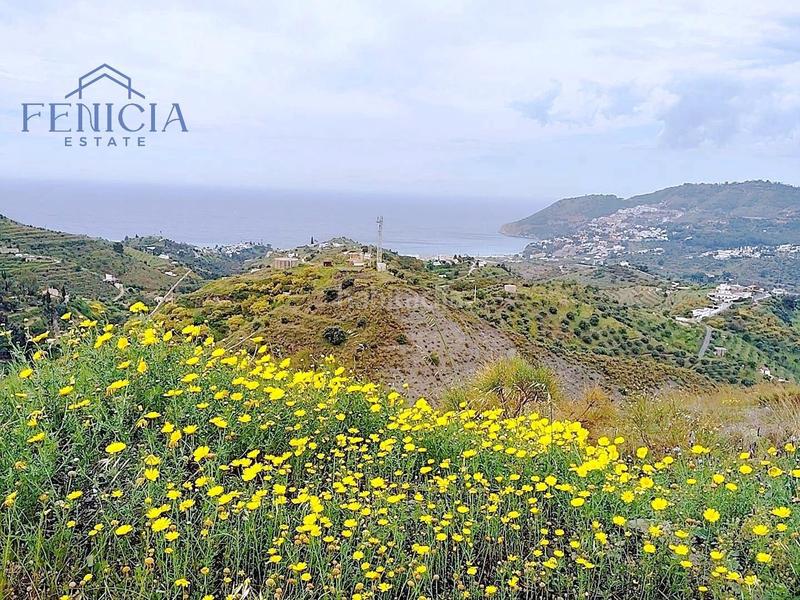 Foto 6cb38f64-a380-4f1b-8169-fe8e46eb04b8. Terrain résidentiel dans La Herradura Almuñécar