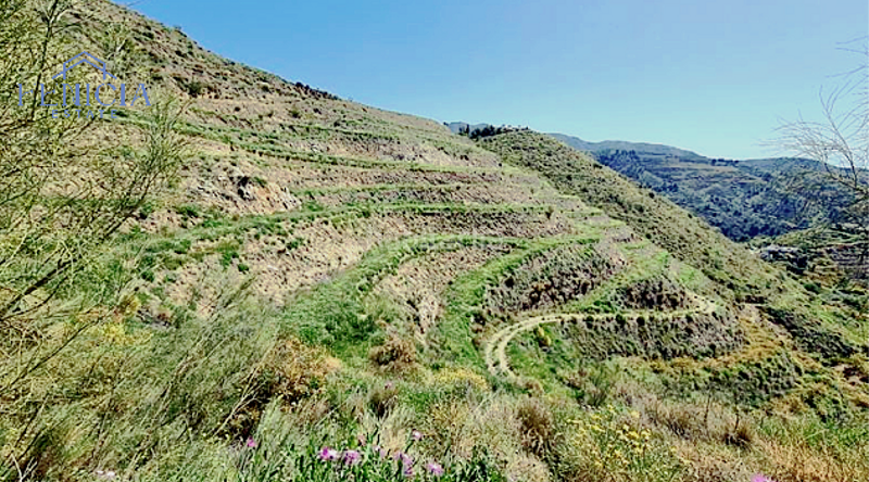 Foto 1acee71d-183d-4d90-8a46-ead31b2db6de. Terreny residencial a El Rescate - Río Seco Almuñécar