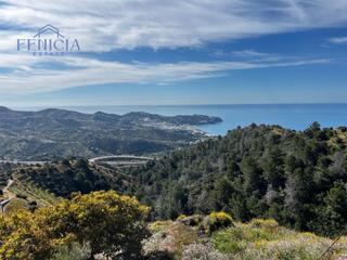 Mas à El Rescate - Río Seco. Se vende cortijo con finca de aguacates