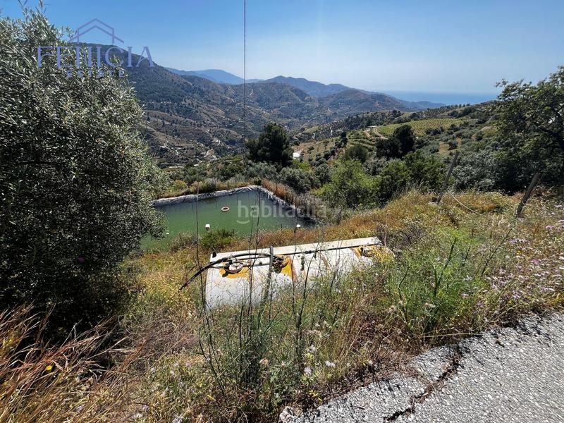 Foto 1ca03d96-42b2-4fdb-aa56-5e3300ca80b9. Landgut in El Rescate - Río Seco Almuñécar