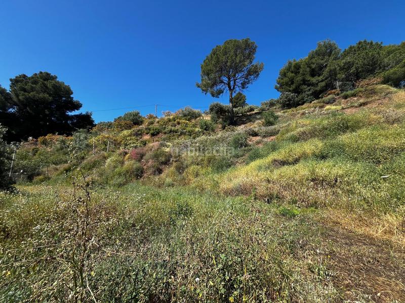 Foto 696f66de-41b1-4c88-a9e2-3ddcb168bf27. Landgut in El Rescate - Río Seco Almuñécar