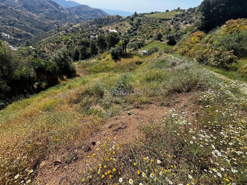 Foto 906e9667-14d6-41a2-96fc-8b756fc50bc9. Landgut in El Rescate - Río Seco Almuñécar