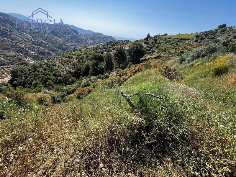 Foto a9f9b9c9-75ea-456d-bfff-e79644c89b81. Landgut in El Rescate - Río Seco Almuñécar