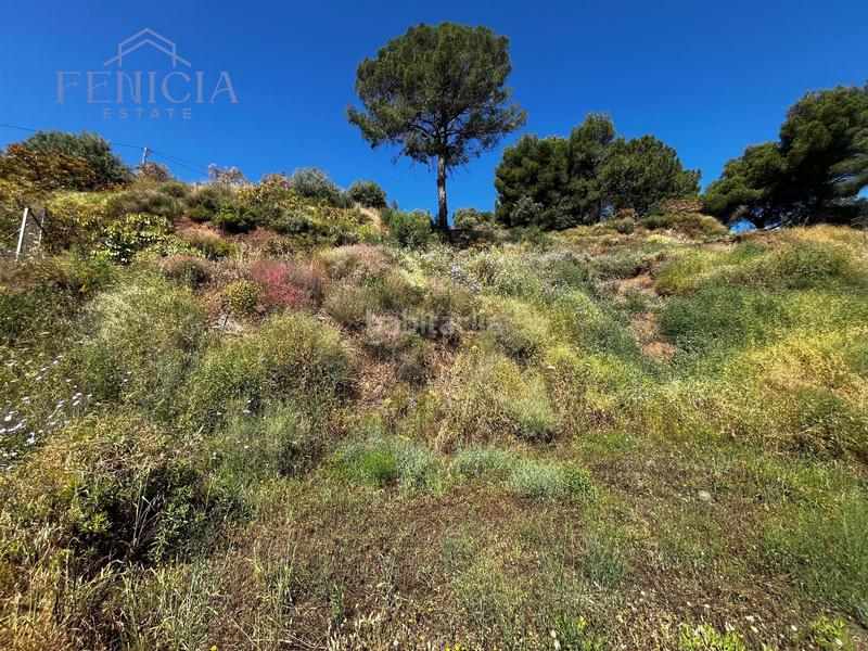 Foto ec1df520-0bd0-4cfc-93d9-088e98861b3a. Landgut in El Rescate - Río Seco Almuñécar