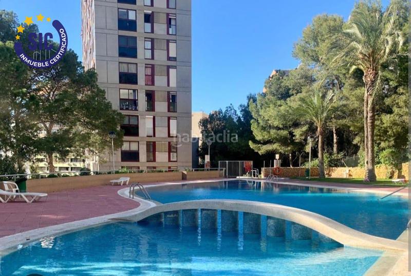 Foto 0cdea7ad-cb40-4ed5-886d-2b908e47f8dc. Piso en Benidorm - av montecarlo 4 apartamento piso en venta en la playa en Benidorm