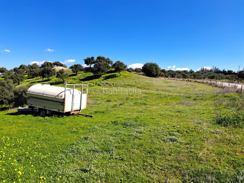 Foto 29e35fb1-58f4-4c3c-9400-2ddbd190a3cb. Terreno residencial en Coín