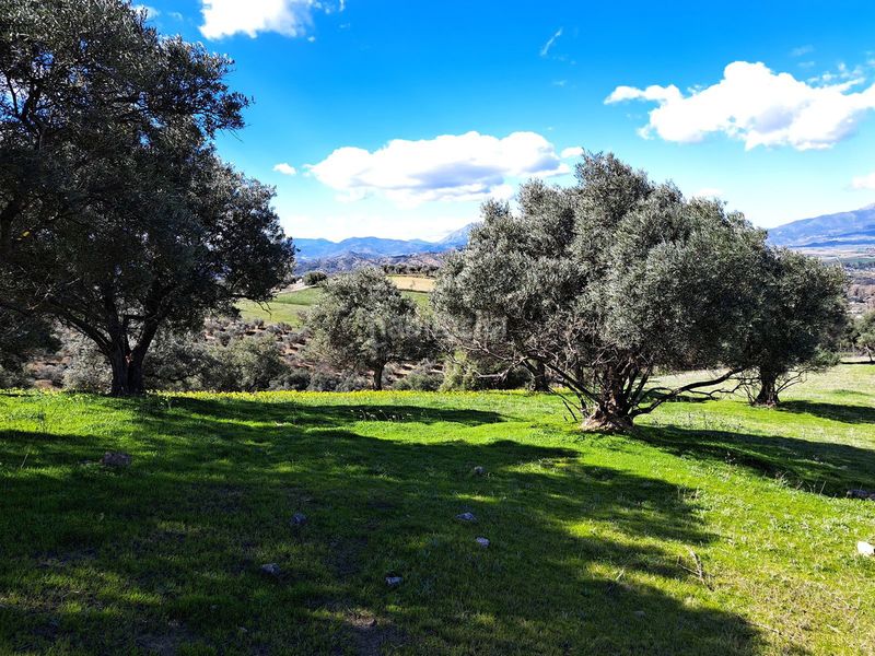 Foto 75ad8155-d70d-4aef-a762-d2868a246423. Terreny residencial a Coín