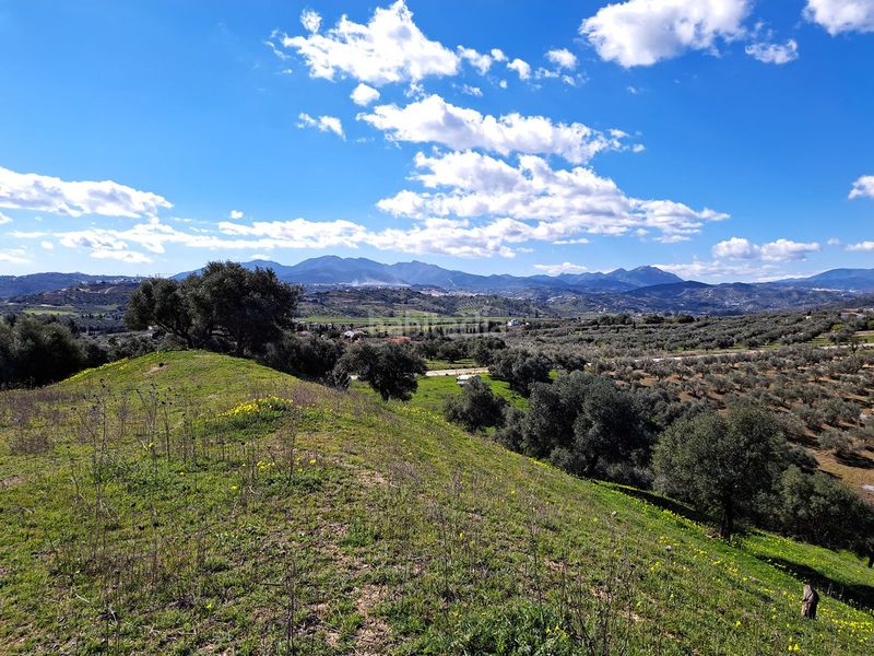 Foto d7a81269-208a-4808-b1a5-bc5f4c2b7312. Terreny residencial a Coín