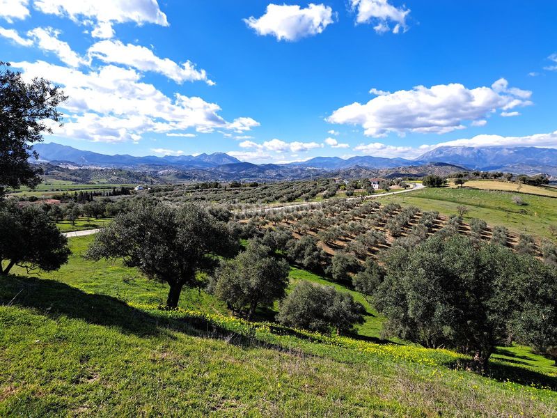 Foto d9e33e69-b23f-4b67-a06f-31bdbbdeff1a. Terreny residencial a Coín