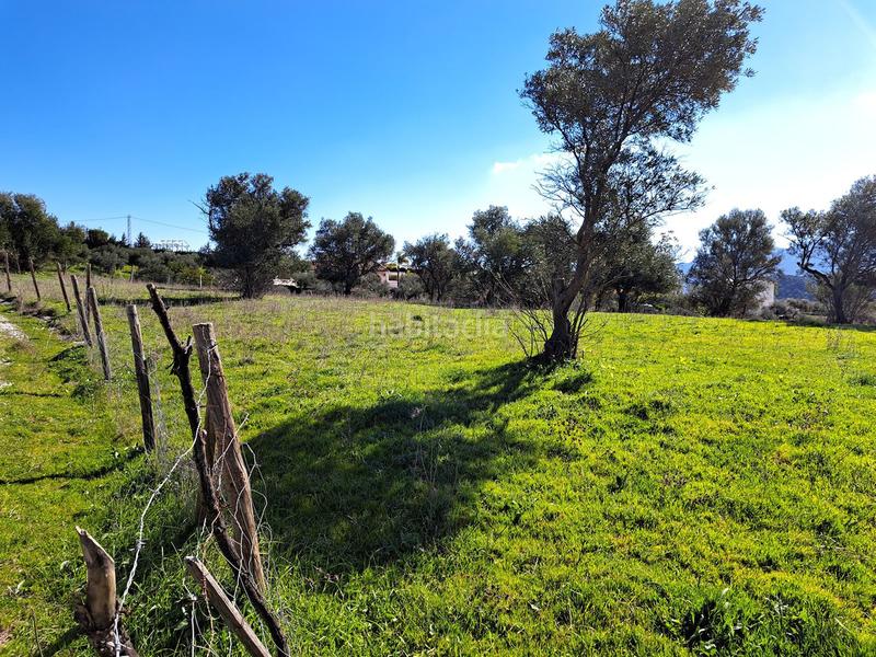 Foto fa294ff6-e722-4fc5-ac6d-3b3ded93a9dd. Terreno residencial en Coín