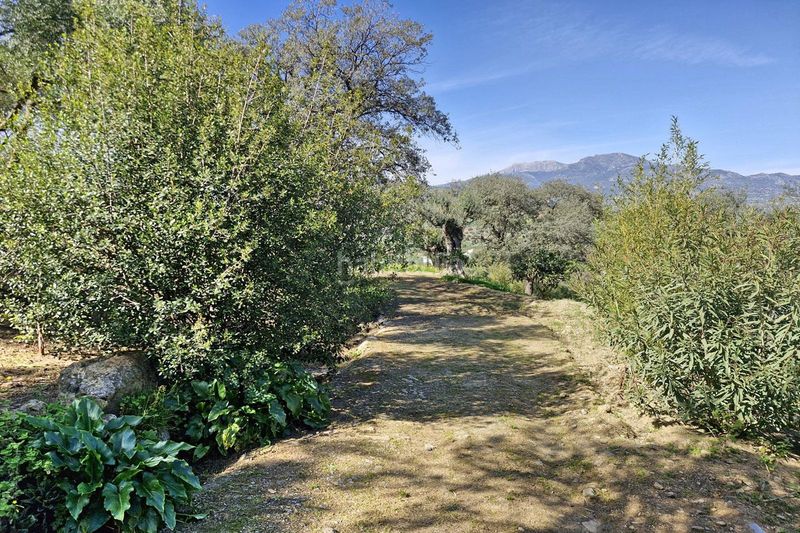 Foto 46a62858-8f0b-44c3-9444-34e3c5e3257d. Masia amb aparcament piscina a Coín