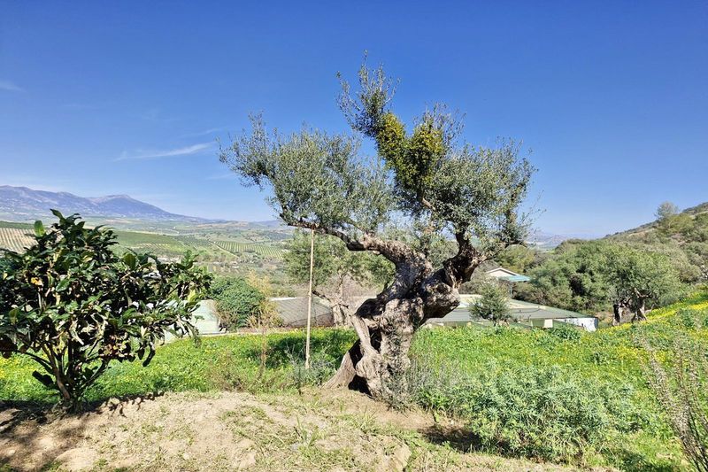 Foto 659e17a5-5349-462b-86e5-7d7f9fd87375. Masia amb aparcament piscina a Coín