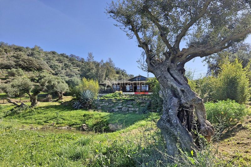 Foto 971ceded-a33d-4a2f-b4c8-5c13930fa516. Masia amb aparcament piscina a Coín