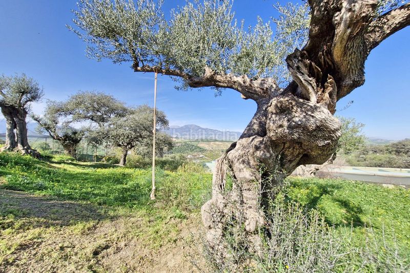 Foto bb9757a1-2255-4499-a0f8-38ab8b4b6e05. Masia amb aparcament piscina a Coín