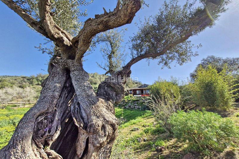 Foto cba3a911-5fbc-45ae-b4a0-87eaab0e9704. Masia amb aparcament piscina a Coín