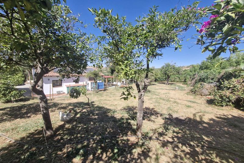 Foto d2d765e2-9312-43ac-9fb5-8544c504004e. Masia amb aparcament piscina a Coín