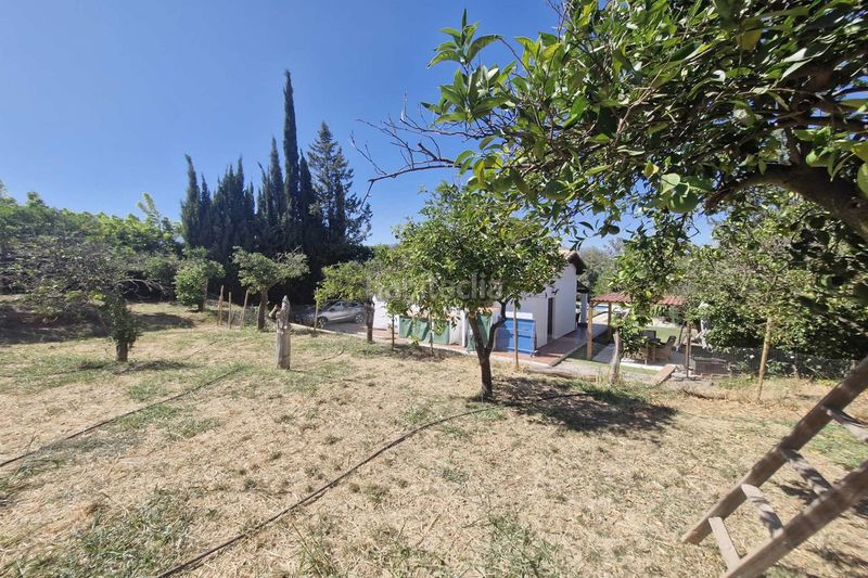Foto e8f8b0e3-e0be-439a-b899-0e6fa269bf9d. Masia amb aparcament piscina a Coín